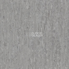 Линолеум Tarkett iq Optima Neutral Grey 0242 фото 1 | FLOORDEALER